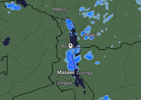 Niederschlagsprognose Niederschlagsprognose