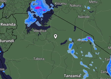 Niederschlagsprognose