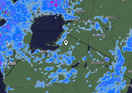 Niederschlagsprognose