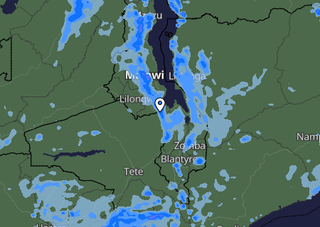 Niederschlagsprognose