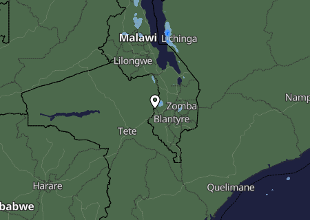 Niederschlagsprognose