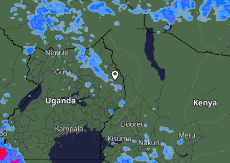 Niederschlagsprognose