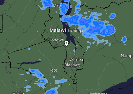 Niederschlagsprognose