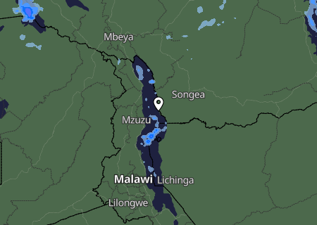 Niederschlagsprognose