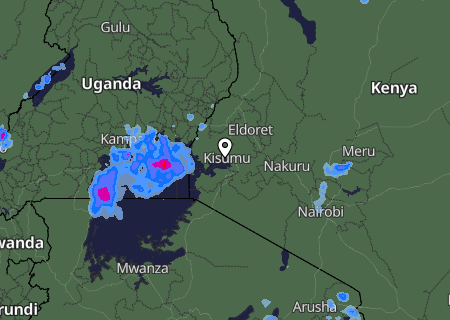 Niederschlagsprognose