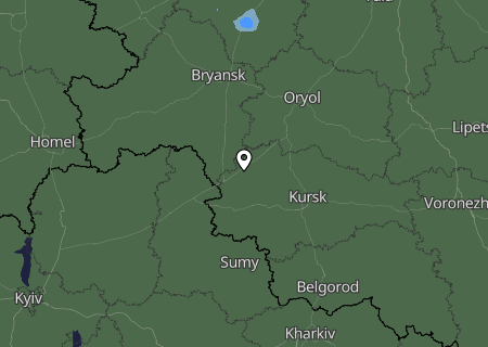 Niederschlagsprognose