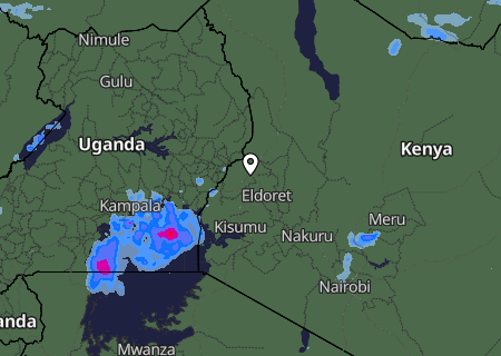 Niederschlagsprognose Niederschlagsprognose