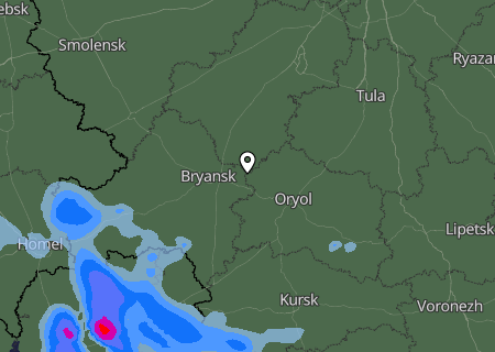 Niederschlagsprognose