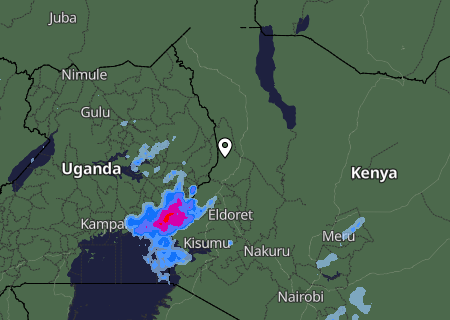 Niederschlagsprognose