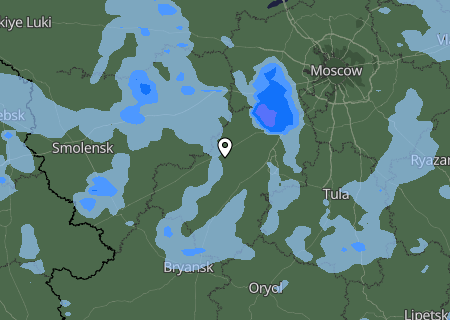 Niederschlagsprognose
