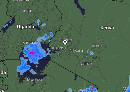 Niederschlagsprognose