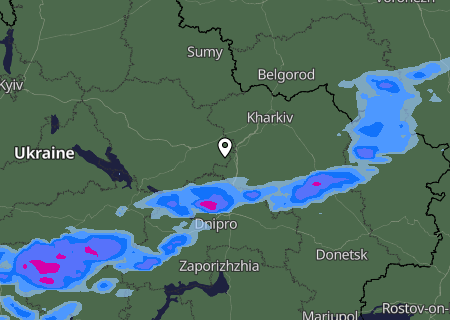 Niederschlagsprognose