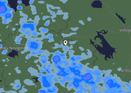 Niederschlagsprognose
