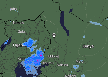 Niederschlagsprognose