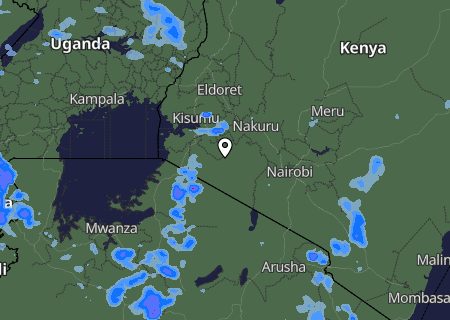 Niederschlagsprognose
