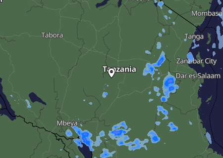 Niederschlagsprognose