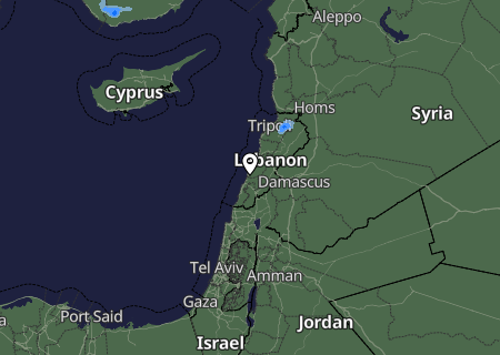 Niederschlagsprognose
