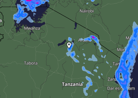 Niederschlagsprognose