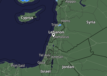 Niederschlagsprognose
