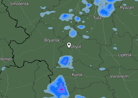 Niederschlagsprognose