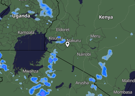 Niederschlagsprognose