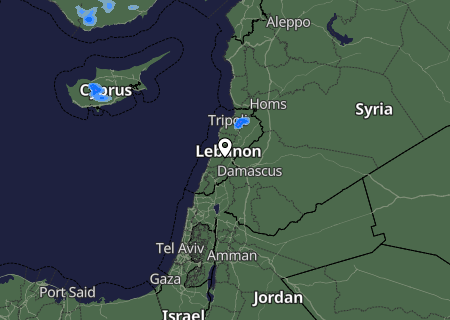 Niederschlagsprognose