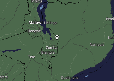 Niederschlagsprognose