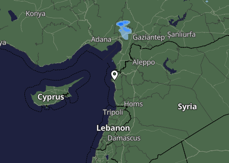 Niederschlagsprognose