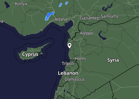 Niederschlagsprognose