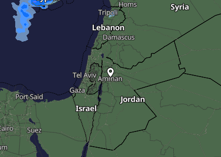 Niederschlagsprognose Niederschlagsprognose