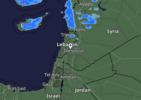 Niederschlagsprognose