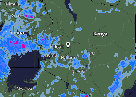 Niederschlagsprognose