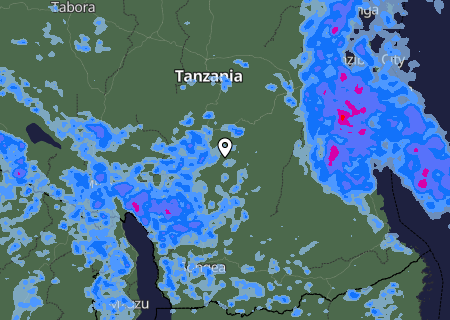 Niederschlagsprognose