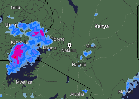 Niederschlagsprognose