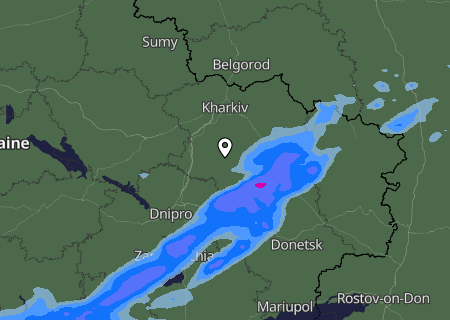 Niederschlagsprognose