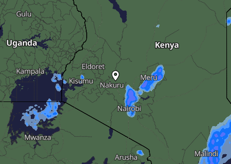 Niederschlagsprognose Niederschlagsprognose