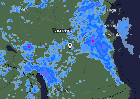 Niederschlagsprognose