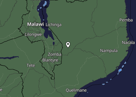 Niederschlagsprognose