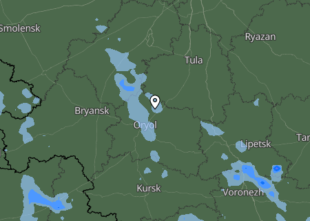 Niederschlagsprognose