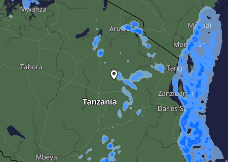 Niederschlagsprognose