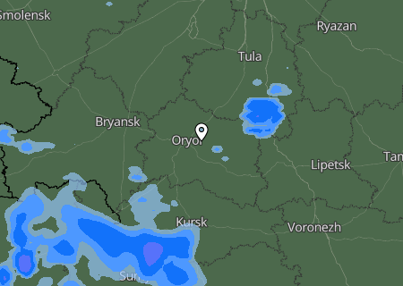 Niederschlagsprognose