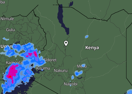 Niederschlagsprognose