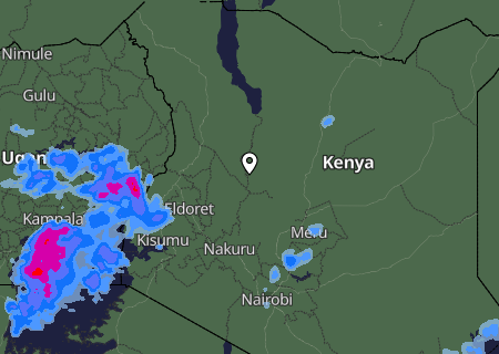 Niederschlagsprognose