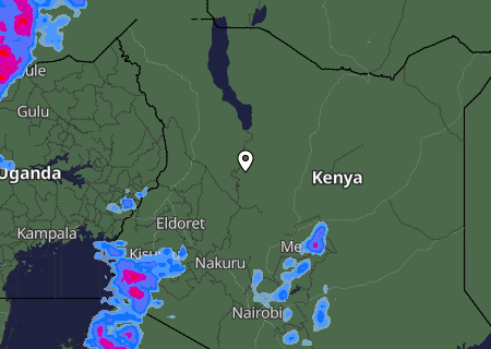 Niederschlagsprognose