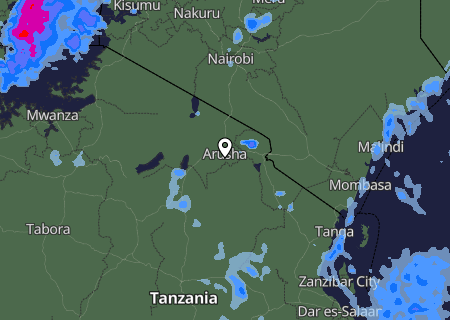 Niederschlagsprognose