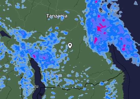 Niederschlagsprognose