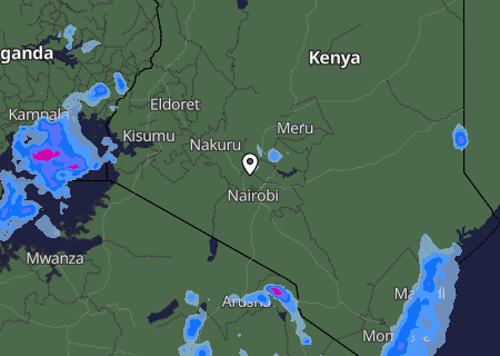 Niederschlagsprognose