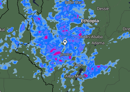 Niederschlagsprognose Niederschlagsprognose