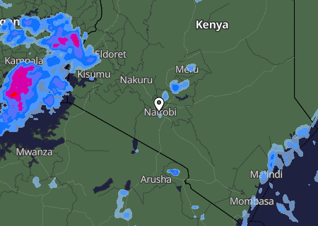 Niederschlagsprognose