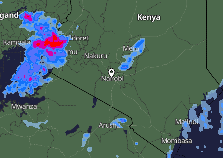 Niederschlagsprognose